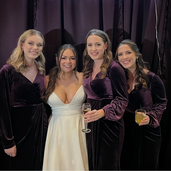 Vera Velvet Dress - Picture 3 of 3